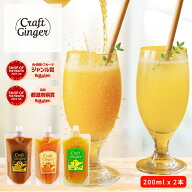 ＼選べる！／ クラフト ジンジャーシロップ 200ml × 2 【パウチタイプ】簡易包装 送料無料 国産 無添加 …