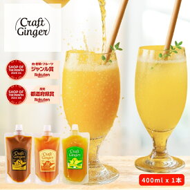 ＼選べる！ 大容量／ クラフト ジンジャーシロップ 400ml × 1 【パウチタイプ】簡易包装 送料無料 国産 無添加 選べる 生姜シロップ 業務用 craft ginger シロップ ジンジャーエール 生姜湯 しょうが湯 温活 生姜
