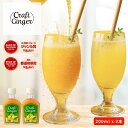 ＼まとめ買い／ Craft Ginger Y (ゆず) 200ml × 2本 送料無料 ジンジャーシロップ 瓶入り 無添加 無着色 保存料不使…