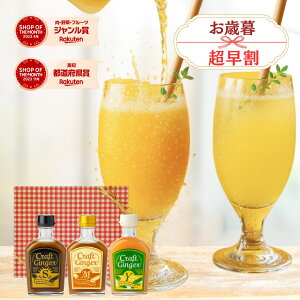 y11/11 09:59܂ N[|500~OFFz_^ WW[Vbv ݔ Zbg Craft Ginger SEMEY 200ml x 3{Zbg p Y Y IVbv I 傤 WW