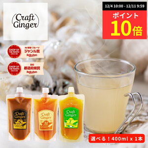 y|Cg10{z_IׂI eʁ^ Ntg WW[Vbv 400ml × 1 ypE`^CvzȈՕ  Y Y Iׂ IVbv Ɩp craft ginger Vbv WW[G