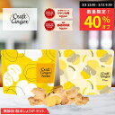 【数量限定★40％オフ】＼2種類から選べる／ 生姜パウダー or ファイバー セット 送料無料 ジンジャーパウダー 無添加…