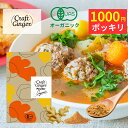 【1000円ポッキリ】＼有機JAS認証／ オーガニック クラフトジンジャー パウダー 100g 送料無料 無添加 国内製造 ジン…