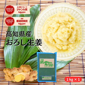 【送料無料】【業務用】 無添加 冷凍おろし生姜 高知県産 1kg 大容量 プロ仕様 国産 生姜 しょうが ショウガ 100% ジンジャーペースト ペースト すりおろし 生姜おろし しょうがおろし 冷凍食品 冷凍野菜 調味料 薬味 時短 簡単