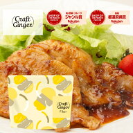 ＼生姜の食物繊維／ Craft Ginger Fiber 25g 送料無料 食物繊維 ファイバー クラフトジンジャー 高知県産…