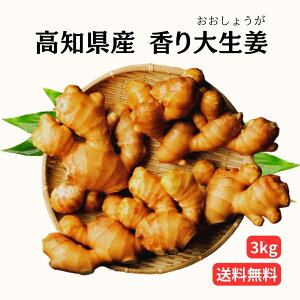 yLgŏЉz_Yn^ yz mY  吶I i傤j Y Ɩp e vdl Y  傤 I VEK  N Hi WW[  
