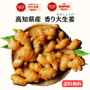 【キントレで紹介】＼産地直送／ 【送料無料】 高知県産 香り 大生姜 （おおしょうが） 無添加 業務用 大容量 プロ仕…