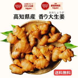 【キントレで紹介】＼産地直送／ 【送料無料】 高知県産 香り 大生姜 （おおしょうが） 無添加 国産 大 しょうが 生姜 ショウガ 温活 健康 食品 ジンジャー 業務用 自宅用 料理 薬味 きざみ おろし しょうが湯 生姜焼き 唐揚げ