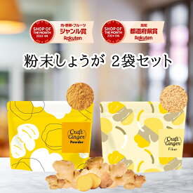 ＼2種類から選べる／ 生姜パウダー or ファイバー セット 送料無料 ジンジャーパウダー 無添加 無着色 乾燥しょうが 高知県産 生姜 粉末 食物繊維 クラフトジンジャー 温活 冷え 腸活 メール便 ポスト投函