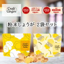 ＼2種類から選べる／ 生姜パウダー or ファイバー セット 送料無料 ジンジャーパウダー 無添加 無着色 乾燥しょうが 高知県産 生姜 粉末 食物繊維 クラフトジンジャー メール便 ポスト投函 ポイント消化