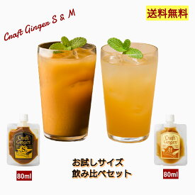 楽天市場 ジンジャーエール シロップの通販