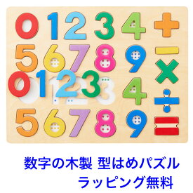 型はめパズル 数字 木のパズル 1・2・3 知育玩具 3歳 木のおもちゃ パズル 算数 木製玩具 知育 型はめ おもちゃ 子ども 男の子 女の子 エドインター