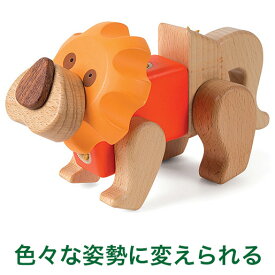 EQB ZOOシリーズ LION（ライオン） 形を変えて遊べる 知育玩具 3歳 木のおもちゃ ブロック 知育 おもちゃ 木製 男の子 女の子