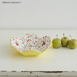 |Cg5{F11/27 01:59܂Ły |Lbg z g~C Jgi[W ł Ԃ̃gCLbg b gC | Lbg  nhCh |pi CeA Ntg k [