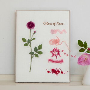 |Cg10{F12/4 20:00y hJLbg z wؘaq̏Ȏhイ̗xhイLbgV[Y i Pink  Rose / QtAqVX jb tXhJ イ | Lbg 