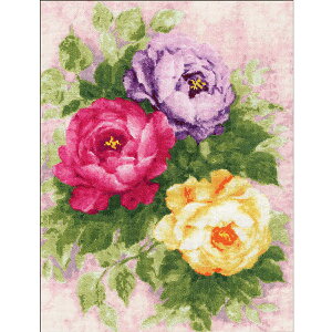 |Cg5{F11/27 01:59܂Ły A NXXeb`Lbg z hJLbg Golden Fleece  3F̃sIj[ b hイ hJ Xeb` イ | |Lbg  nhCh pi Ce