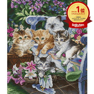 |Cg5{F11/20 20:00y A NXXeb`Lbg z hJLbg Luca-S  p[tFNgofB[ b ㋉ Sʎh hイ hJ Xeb` hJ Lbg | |Lbg  n