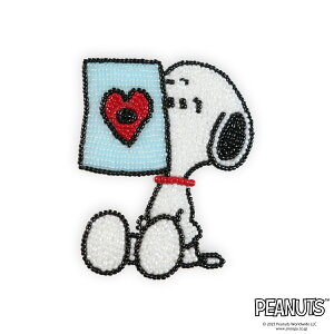 11/1 |Cg2{y hJLbg z Xk[s[ r[Y hイ Lbg i Xk[s[ / JOE COOL / EbhXgbN / T[ / `[[ uE / V[_[ jb s[ibc LN