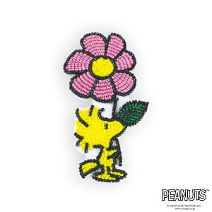 y hJLbg z Xk[s[ r[Y hイ Lbg i Xk[s[ / JOE COOL / EbhXgbN / T[ / `[[ uE / V[_[ jb s[ibc LN^[ S Zbg 