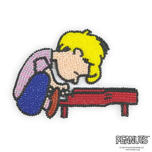 y hJLbg z Xk[s[ r[Y hイ Lbg i Xk[s[ / JOE COOL / EbhXgbN / T[ / `[[ uE / V[_[ jb s[ibc LN^[ S Zbg 