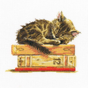 y A NXXeb`Lbg z hJLbg RTO Lbgh[ b hイ hJ Xeb` イ Lbg | Lbg  nhCh |pi CeA  E N