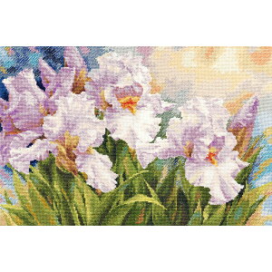 y A NXXeb`Lbg z hJLbg Alisa zCgACX b hイ hJ Xeb` イ hJ Lbg | Lbg  nhCh |pi CeA  