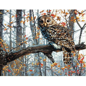 y A NXXeb`Lbg z hJLbg Dimensions  CYIE b hイ hJ Xeb` イ Lbg |  nhCh pi CeA  E NXXeb`