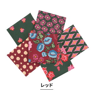 y n JbgNXZbg z mfBbNK[fh[ 45×55cm 6Zbg i zCg / bh / u[ jb JbgNX Zbg ͂ | pb`[N \[CO eLX^C