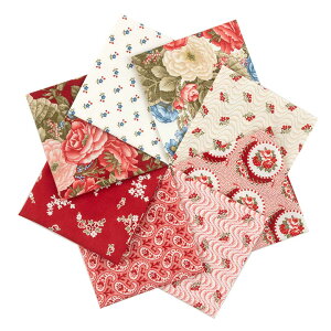 |Cg5{F11/11 01:59܂Ły n JbgNXZbg z USA Rbg JbgNX nZbg OhEwu@8Zbgb z \[CO vg   }XN | n 