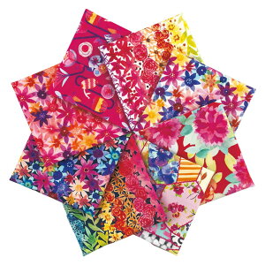 |Cg5{F11/11 01:59܂Ły n JbgNXZbg z USA Rbg JbgNX nZbg t[pb`@8Zbgb z \[CO vg   }XN | n 