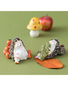 |Cg5{F11/27 01:59܂Łyizق̂ڂ̃nlY~2Zbgb u   킢 CeA nlY~