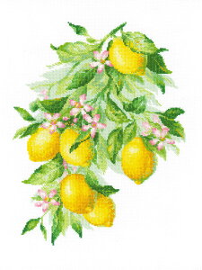 y A NXXeb`Lbg z hJLbg RIOLIS  uCg b hイ hJ Xeb` イ Lbg | Lbg  nhCh |pi CeA  E N