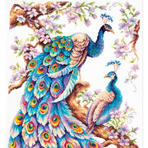 12/1 |Cg2{y A NXXeb`Lbg z hJLbg Magic Needle  E b hイ hJ Xeb` イ hJLbg | |Lbg  nhCh |pi Ce