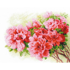 y A NXXeb`Lbg z hJLbg RIOLIS ЃS[WXEAUA b hイ hJ Xeb` イ Lbg | Lbg  nhCh |pi CeA  