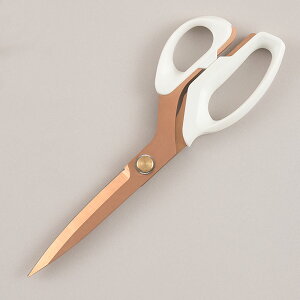 |Cg5{F11/4 20:00y  z^O[X e[[VA[Y 24.5cmi [YS[h / ubN jb ͂ ق΂ ΂ nT~ ٖDnT~  XeX z؂p 