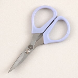 |Cg5{F11/4 20:00y  z ^O[X J[u͂ 12cm b ͂ nT~ ؂͂ ٖD  XeX ؂ dp fXN fXNpi