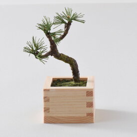 クラフトキット ｜＜数量限定＞ 和紙盆栽キット 十二の季（ 銀杏 / 紅葉 / 松 ）｜ 手芸 紙盆栽 和紙 ミニ 盆栽 伝統 美 日本製 和 細工物 初心者 キット インテリア Made in Japan ギフト プレゼント