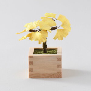 |Cg2{F11/16 23:59܂Ły NtgLbg zʌ聄 a~̓Lbg \̋Gi  / gt /  jb | ~ a ~j ~ `  { a ׍H S Lbg Ce