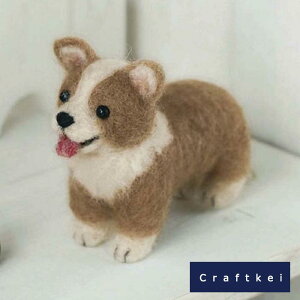 yLbgzs EFVER[M[ ttFgr Lbg M[1/2] n}iJ