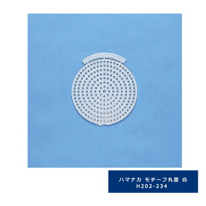 y/1܉izn}iJ `[tی^  H202-234 ݂ hJ M[1/2] (T:1)