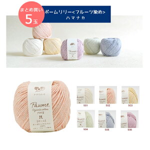 yю/5ʉizw |[[st[c߁t ܂Ƃߔ xn}iJ ю 100 