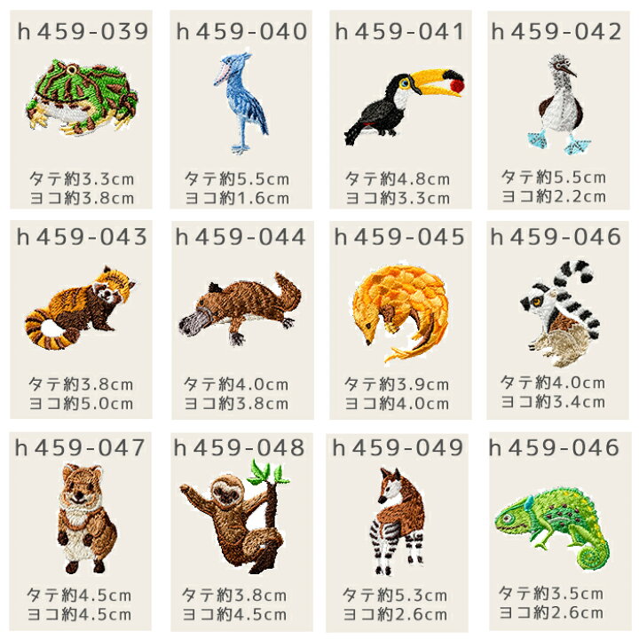楽天市場 ワッペン Who Are You ワッペン アップリケ ハシビロコウ 入園 入学 動物 アニマル クラフトケイ