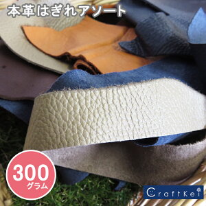 y͂z{v͂ A\[gpbN 300g FIs NtgPCIWi