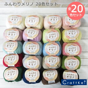 yю/20ʉizӂ胁m z[Ch  S20FZbg n}iJ