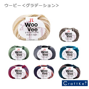 yю/1ʉizw E[r[Of[V x n}iJ E[100