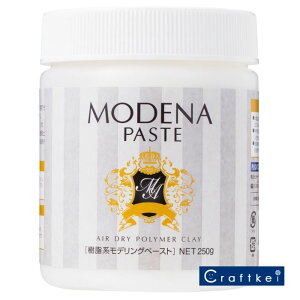 ySyzfiy[Xg 250g pWR NC Sy A[g wZ nr 303200