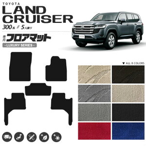 g^ hN[U[ 300 tA}bg LXV[Y V^ 5l p ANZT[