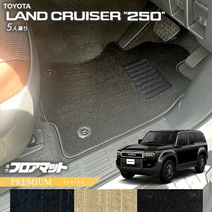 �y���|�C���g�o�b�N�Ղ̓G���g���[�s�v�|�C���g5�{�I�z�g���^ �����h�N���[�U�[250 �t���A�}�b�g PM�V���[�Y 5�l����p �A�N�Z�T���[ �J�X�^�� �p�[�c ���� �h���X�A�b�v �}�b�g