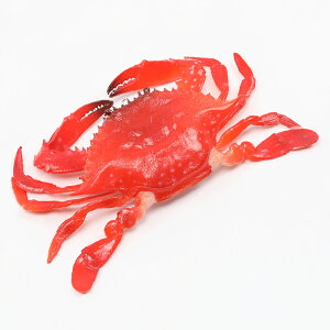 IHiTv HiTvL[z_[`[ ~j`At[h nI`[ vX`bN Jt 10×17cmi1j