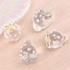 IC`S`[ `[ p[t 18×24mm pi|piANZT[p[ci2j